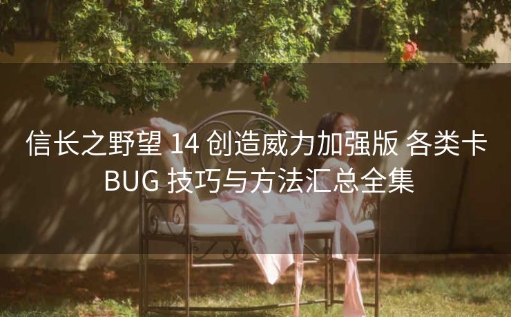 信长之野望 14 创造威力加强版 各类卡 BUG 技巧与方法汇总全集