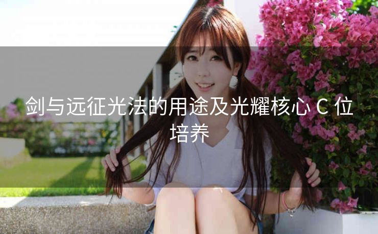 剑与远征光法的用途及光耀核心 C 位培养