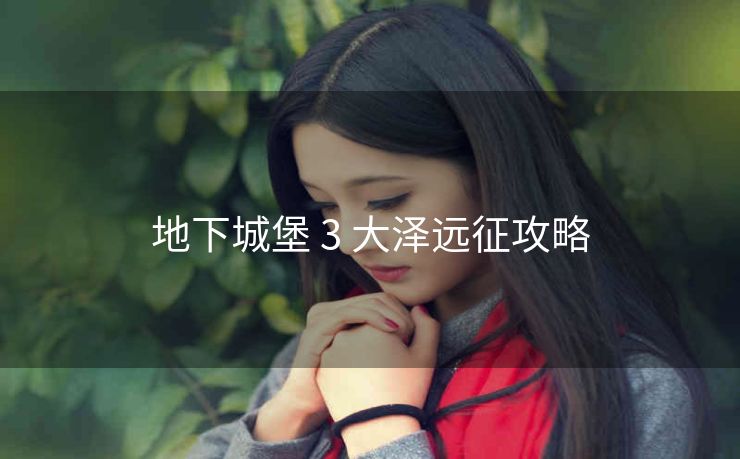 地下城堡 3 大泽远征攻略