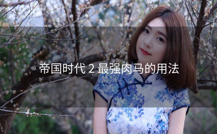帝国时代 2 最强肉马的用法