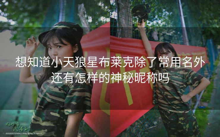 想知道小天狼星布莱克除了常用名外还有怎样的神秘昵称吗