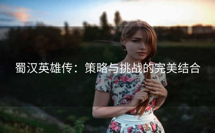 蜀汉英雄传：策略与挑战的完美结合