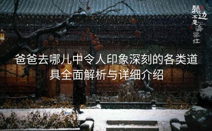 爸爸去哪儿中令人印象深刻的各类道具全面解析与详细介绍