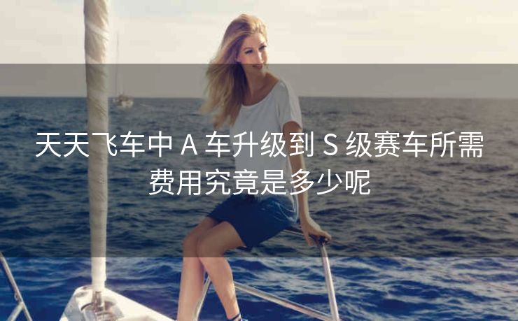 天天飞车中 A 车升级到 S 级赛车所需费用究竟是多少呢