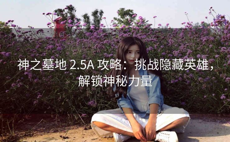 神之墓地 2.5A 攻略：挑战隐藏英雄，解锁神秘力量
