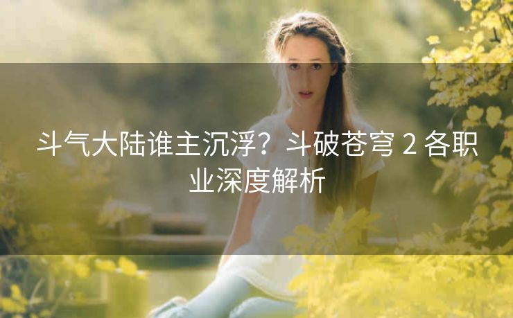 斗气大陆谁主沉浮？斗破苍穹 2 各职业深度解析