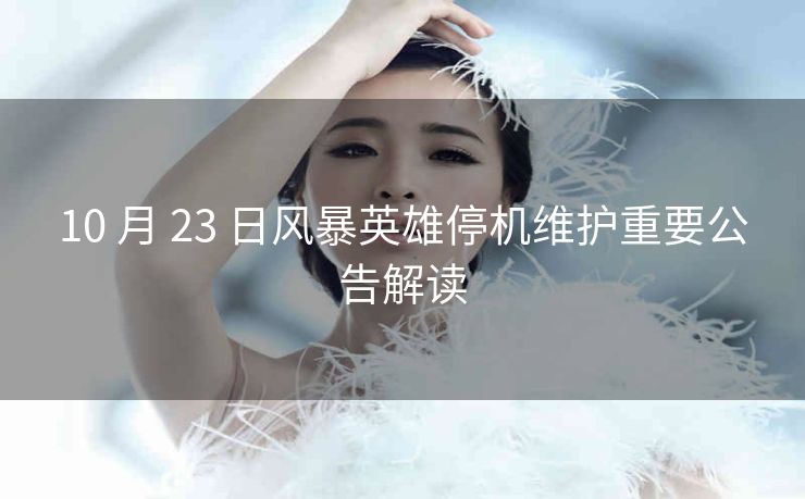 10 月 23 日风暴英雄停机维护重要公告解读