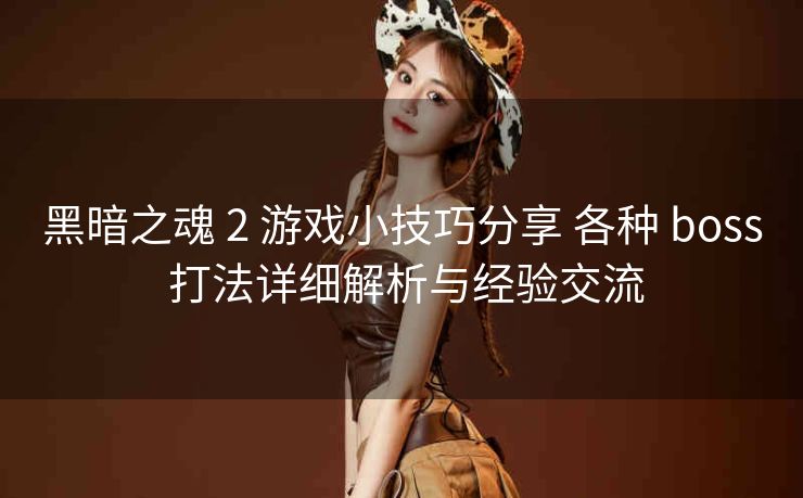 黑暗之魂 2 游戏小技巧分享 各种 boss 打法详细解析与经验交流