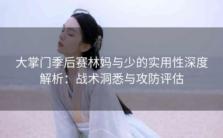 大掌门季后赛林妈与少的实用性深度解析：战术洞悉与攻防评估
