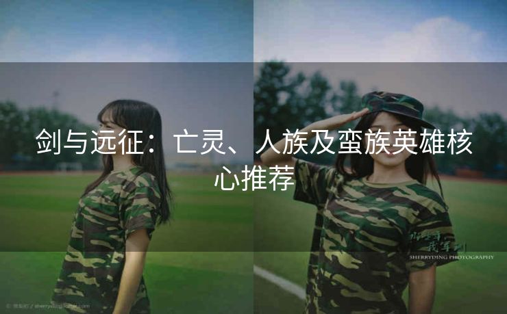 剑与远征：亡灵、人族及蛮族英雄核心推荐